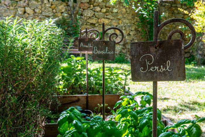 Le jardin de la semeuse, Hôtel 4 étoiles dans le Var, Plants d'Herbes