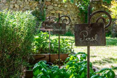 La Bastide du Calalou, Restaurant Moissac-Bellevue, Plants d'Herbes.